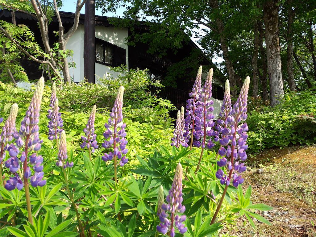 Alp Bach Madarao Villa อิยามะ ภายนอก รูปภาพ